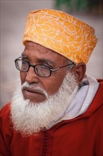 Portrait of an elderly man with glasses and white beard