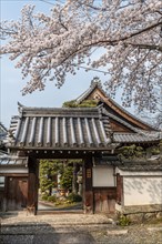 Building in Shinnyo-do Temple