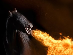 Friesian horse breathing fire