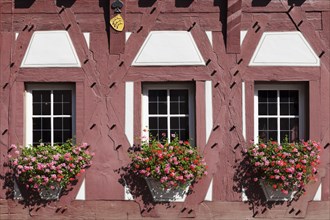 Flowers at the windows of the town hall