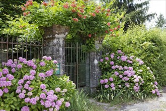 Gate with flowers