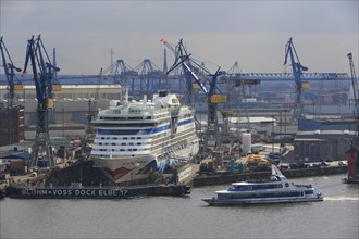 Cruise ship Aida Luna in the Elbe 17 dry dock of Blohm and Voss