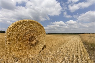 Straw bales in a stubble field in front of a cloudy sky