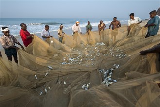 Fishermen inspecting fishing nets