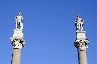 Hercules columns