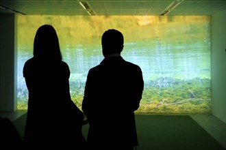 Two silhouetted visitors in a gallery looking at a light installation