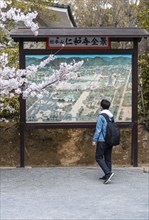 Tourist in front of an information board with map of the Ninna-ji temple complex