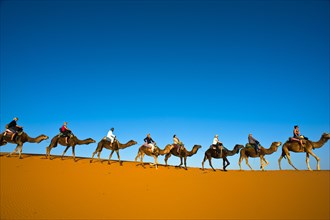 Tourists riding camels on the sand dunes of Erg Chebbi