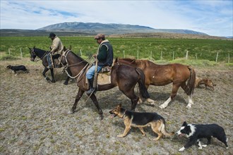 Gauchos riding in the Torres del Paine National Park