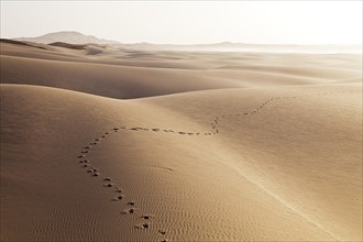 Tracks of a single hiker in the sand of the dunes on Praia de Chaves Beach