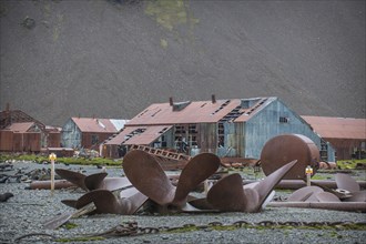 Huge old ships' propellors lying between the houses of the former Stromness whaling station