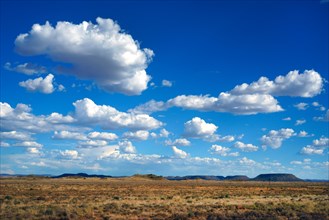 Landscape in the Karoo semi-desert