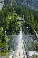 Suspension bridge