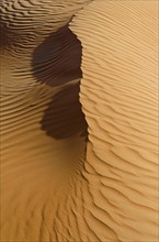 Patterns of the sand dunes of the Wahiba Sands desert