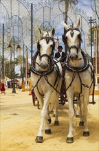 Decorated horses and dressed up coachman at the Feria del Caballo Horse Fair