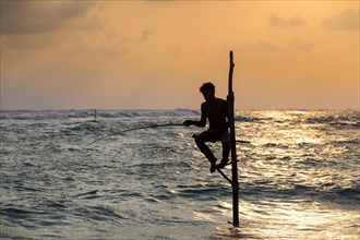 Stilt fisherman fishing in shallow water