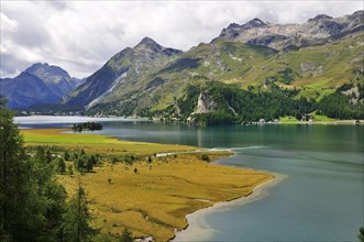 Estuary of the river Aua da Fedoz into the Lake Sils