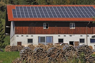 Farm with photovoltaic panels