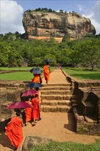 Buddhist monks on their way to the Lion Rock