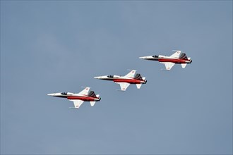 Formation flight of the Patrouille Suisse with the Northrop F-5E Tiger II