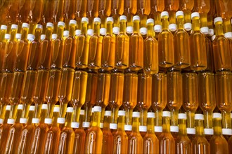 Bottles of apple cider in a wine cellar