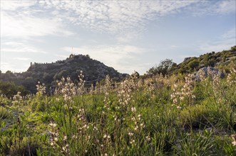 Landscape near Kalekoy