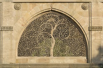 Artfully rock-carved window of the Sidi Saiyyed Mosque