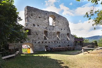 Ruins of Burg Stapelburg Castle