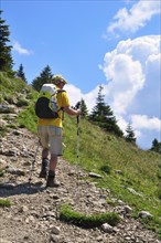 Hiker with a backpack and hiking poles
