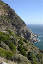 Cliffs with Chapman's Peak Drive