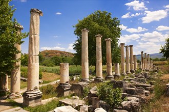 Pillars of the Roman South Agora