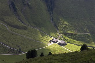 Alp in the last evening light