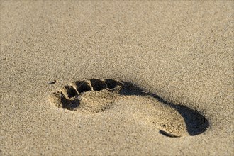 Footprint in the wet sand