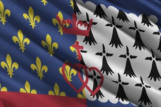 Flag of Pays de la Loire