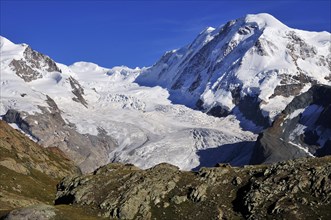 Grenzgletscher glacier