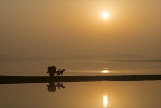 A donkey cart crossing the Yamuna river on a dam at sunrise