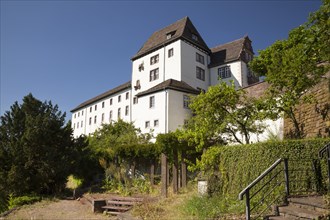 Schloss Furstenberg castle