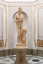 The ancient Capitoline Venus