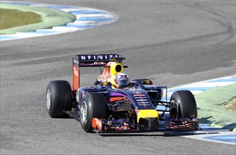 Daniel Ricciardo in the Red Bull RB10