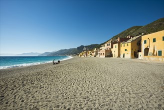 Typical houses on the beach