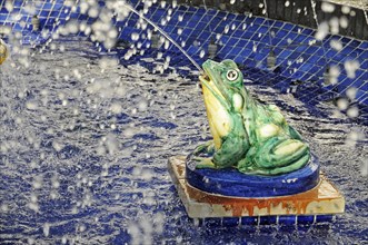 Frog spouting water