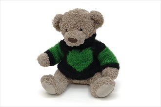 Teddy bear with knitted sweater