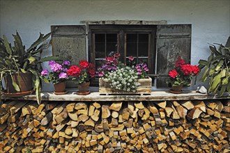 Windows behind a woodpile and flowers in Markus Wasmeier Farm and Winter Sports Museum