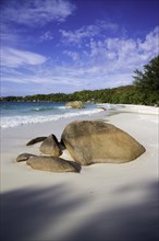 Sandy beach with the typical rock formations of the Seychelles
