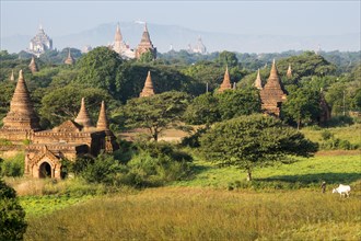 Ananda Temple