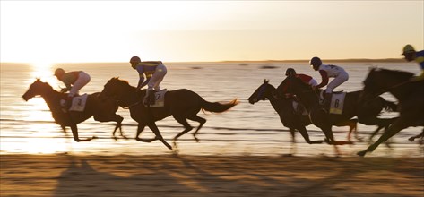 Horse race at the beach of Sanlucar de Barrameda at the Guadalquivir river mouth