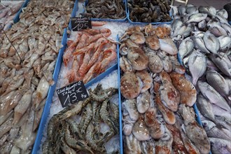 Display of a fishmonger at the Marche des Capucins market in the district of Noailles, Marseille