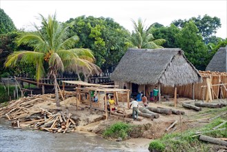 Small jungle sawmill in the small town of Orellana on the banks of the Ucayali River