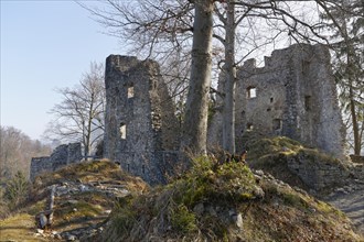 Alt-Ems castle ruins