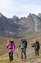 People hiking in arctic or subalpine tundra